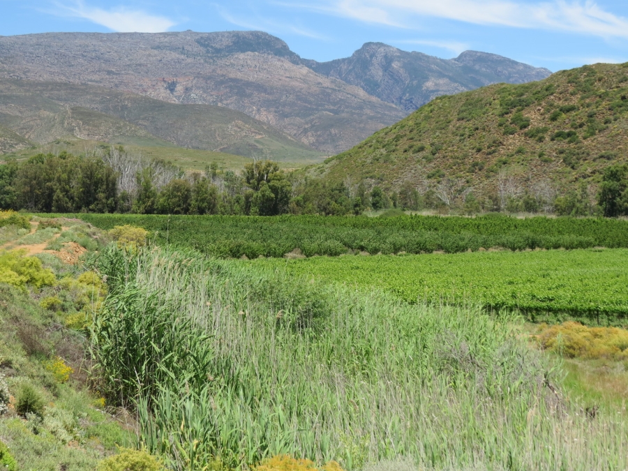 Commercial Property for Sale in Robertson Rural Western Cape